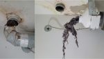 Remember to clean your dryer duct and booster fan in 2026 4 Remember to clean your dryer duct and booster fan